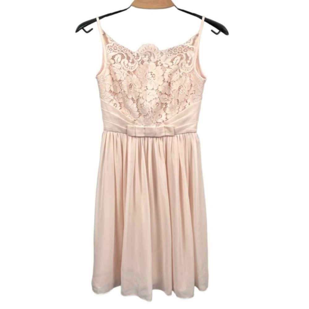 Ted Baker Mimee Blush Pink Lace Bodice and Chiffon Dress
